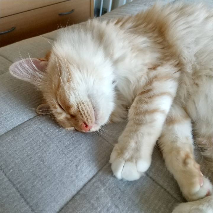 74e07265 be4e 42da ae42 2da04285108b 1621752093957