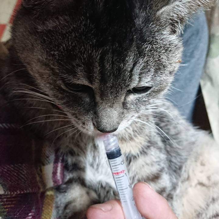 74e08370 595e 4e4f 9577 256950ab0582 1578175191961