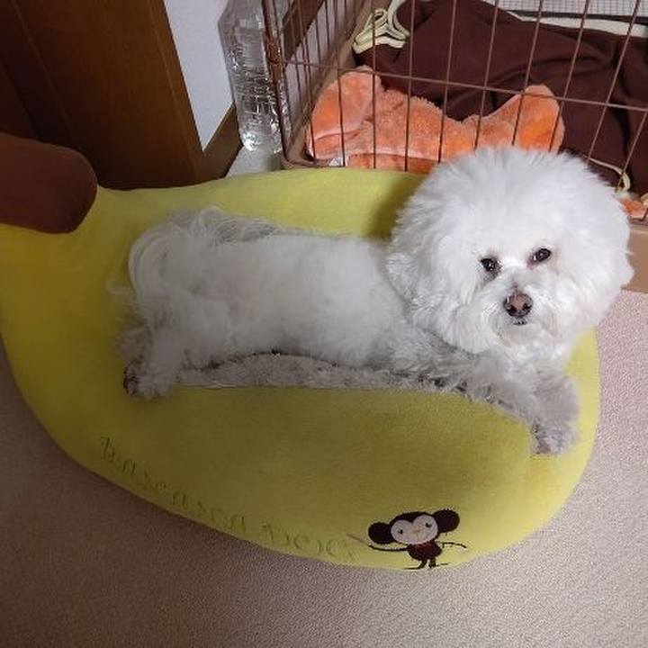 74e0882c 1ea3 4a68 a7fd dece1dfb34d2 1615113654982