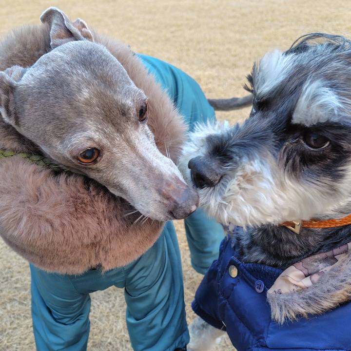 74e108d7 79e3 4280 8aaf a74f3d1ea003 1769682169112