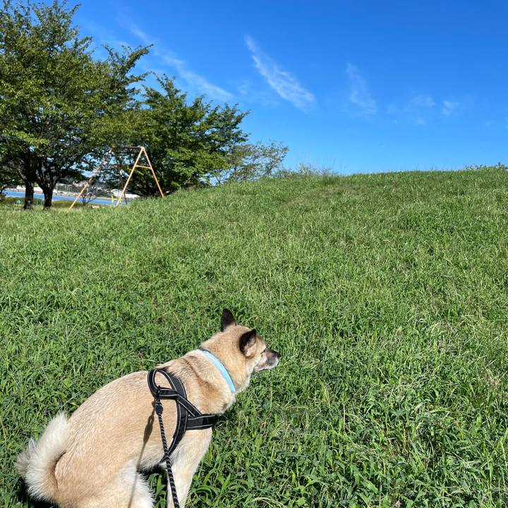 74e166aa bf88 4eac bae6 e8058e128e4f 1725192261864