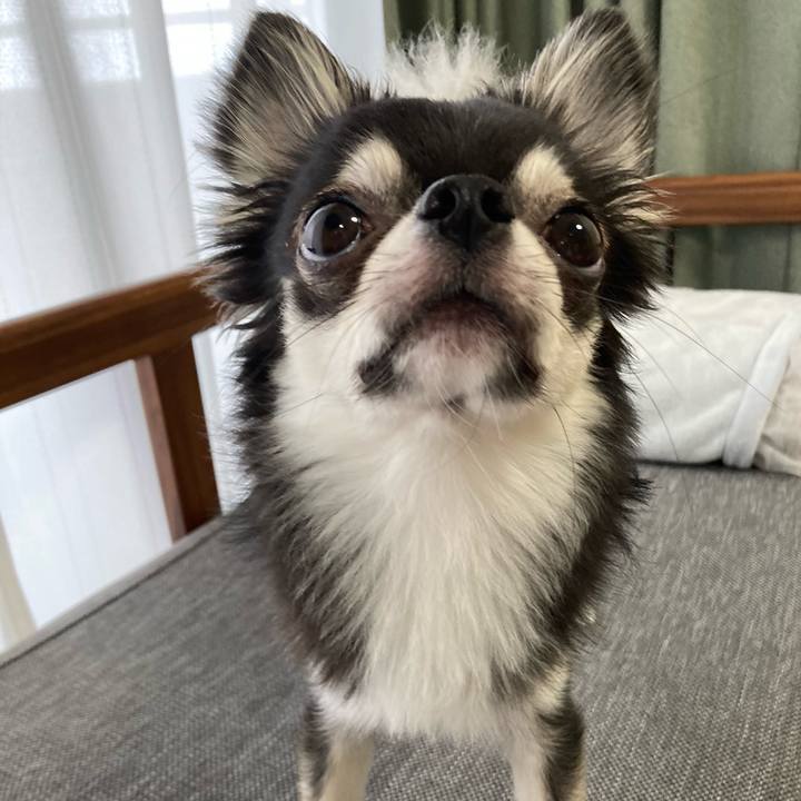 74e17760 1e33 4302 ba56 e40d7c3542b3 1628912453445