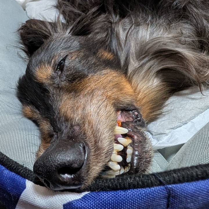 74e1ac93 881e 4616 a0d9 15e29e468efb 1764417790515