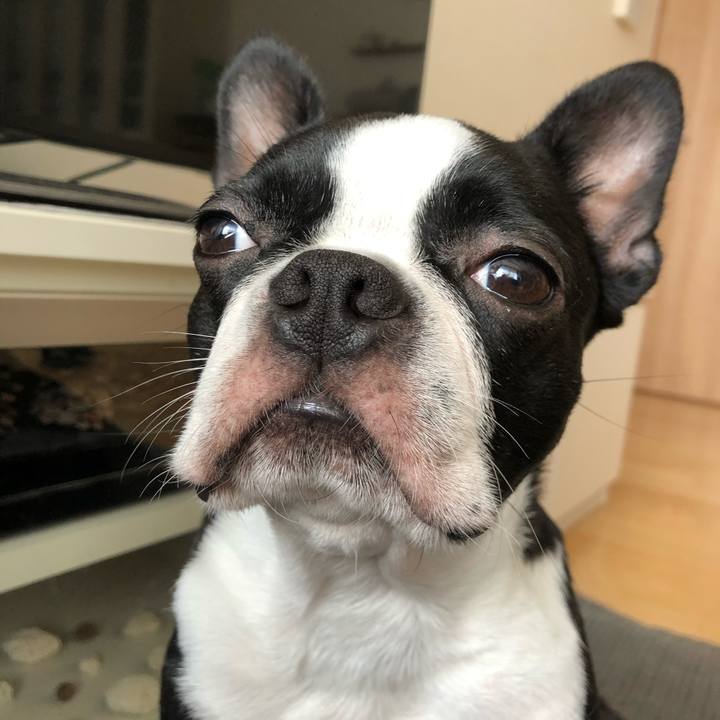 74e1da3d 3cad 432e be3d 970ba9f5144f 1565482643546