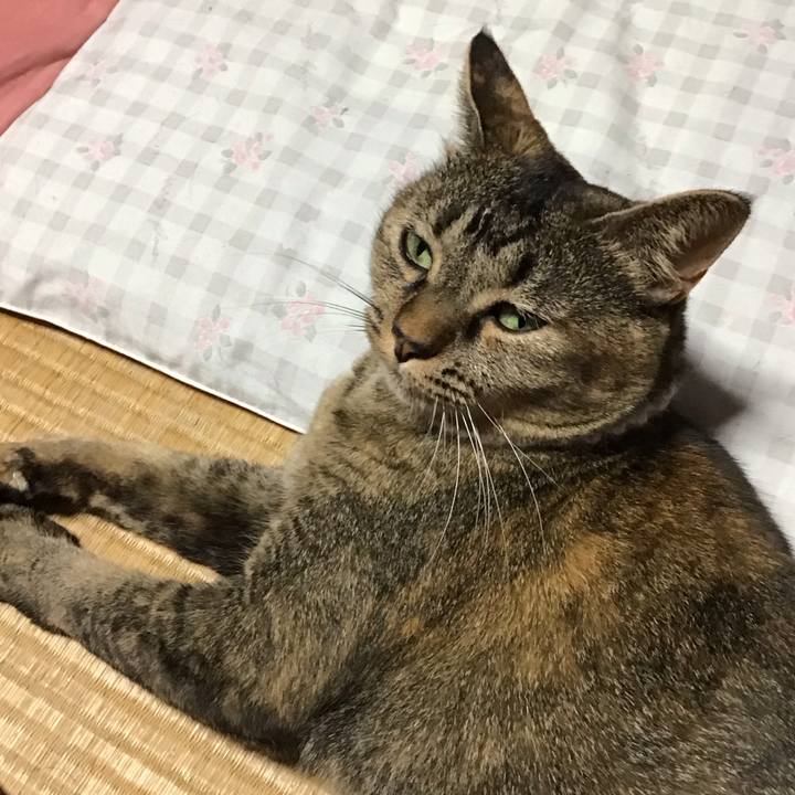 74e21af6 1d11 40ba b704 9ba4843e14ea 1693656203377