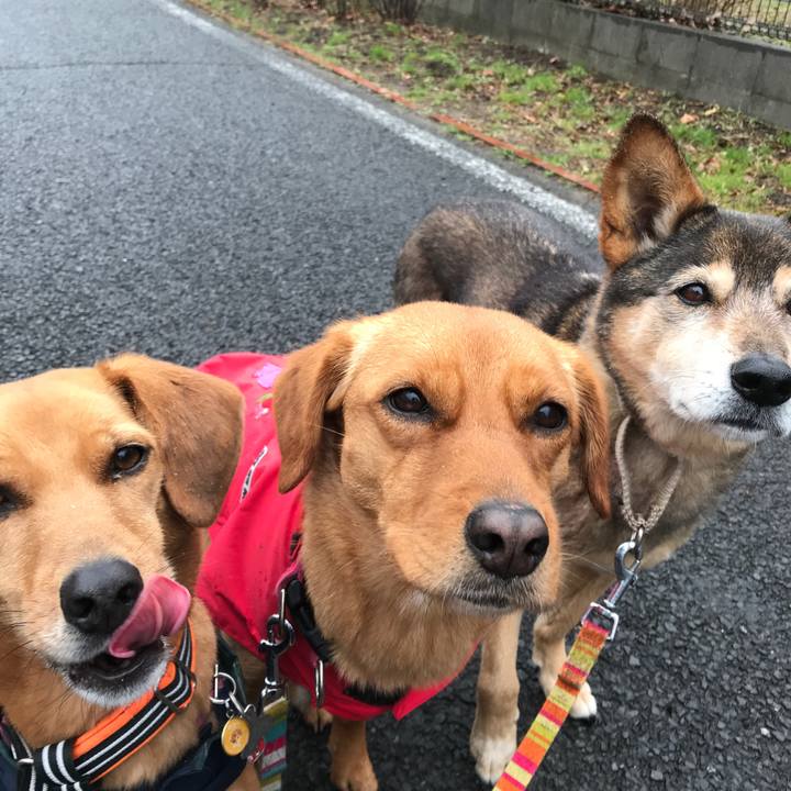 74e21c85 e554 458f a8c9 e9a346bd444c 1520465906505