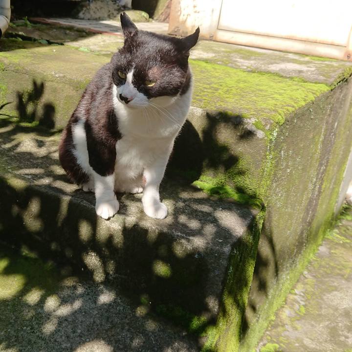 74e23546 a044 467e a8a8 52cf2e05e0a5 1593645630761