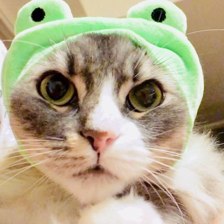 74e24ac9 b910 42c8 883e 5176bfb51f7e 1559201583332