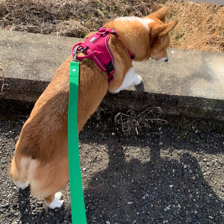 74e256b2 86fc 4801 8cda 2898d43af6b6 1642993501969