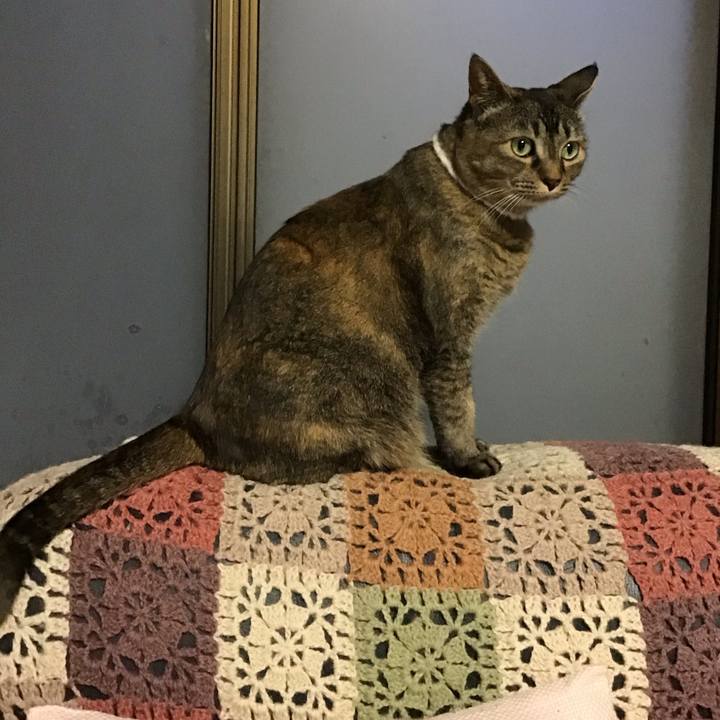 74e25bd5 bf97 4e6e 9111 9c6bca04df9a 1748351063318