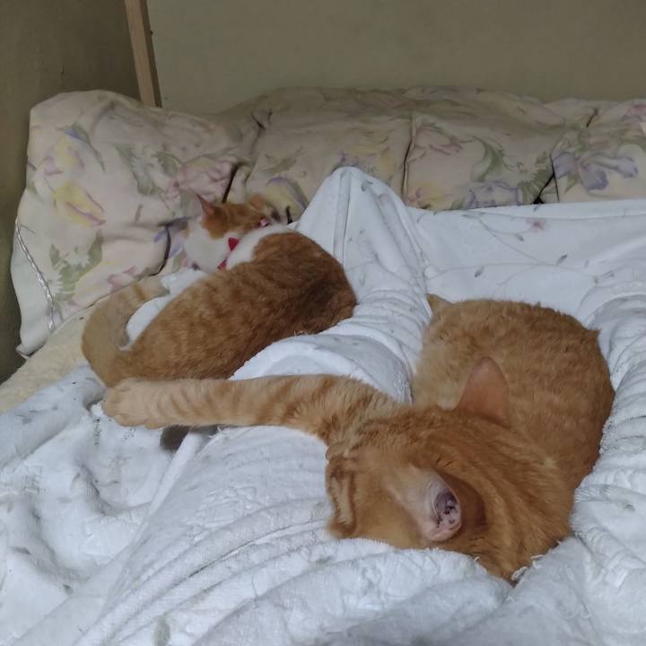 74e26f3d 746c 427f 8cb5 36bb096bb36c 1750939982330