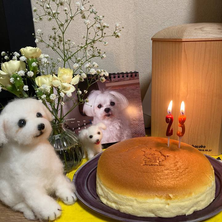 74e271c8 ded7 403d b674 1e4b66abb389 1662032373252