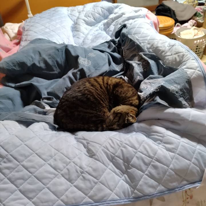 74e2b346 d077 4391 9376 23d3ae969c1f 1715724552717