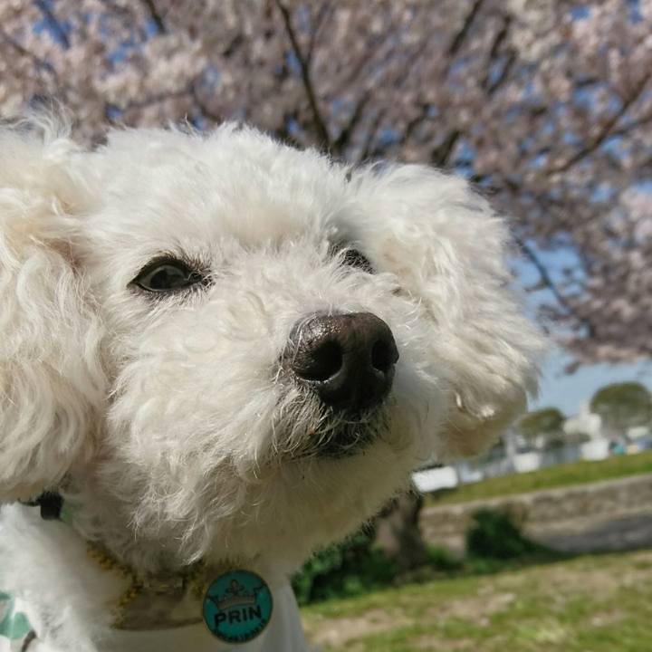 74e2b3aa 851c 4702 b208 111ff008b817 1522463835810