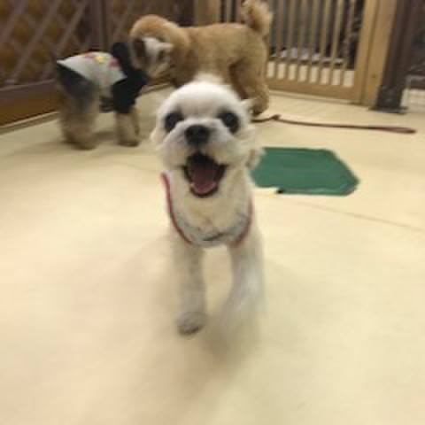 74e2c79e 47ea 4be1 8d45 bcd12e213cd0 1520856078259