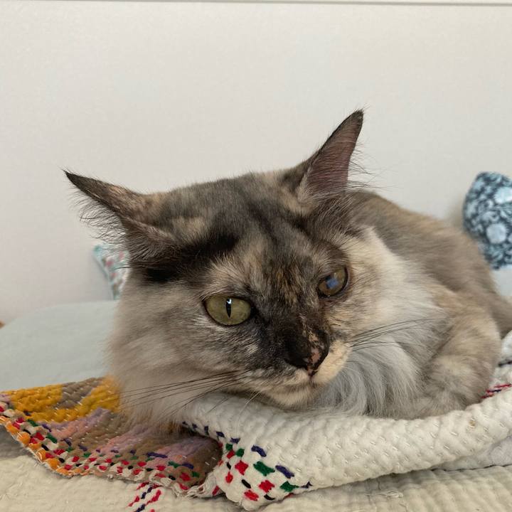 74e33417 0ef6 40af 9298 f59b0f6b5833 1755760975290