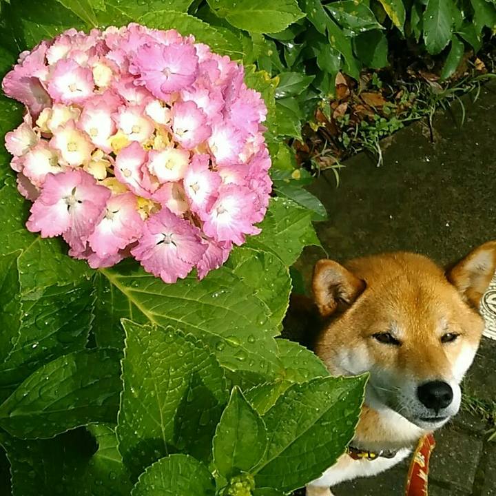 74e353c6 777a 4991 b447 7a5060b86dcb 1528332350932