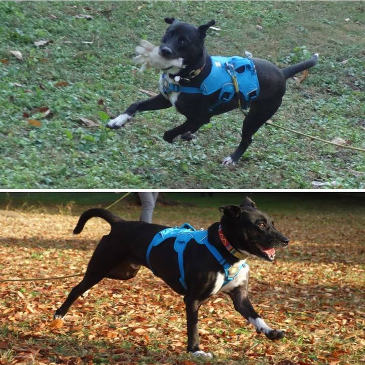 74e37a06 9e69 4f11 a2a9 8dfefe6add5e 1605570858711