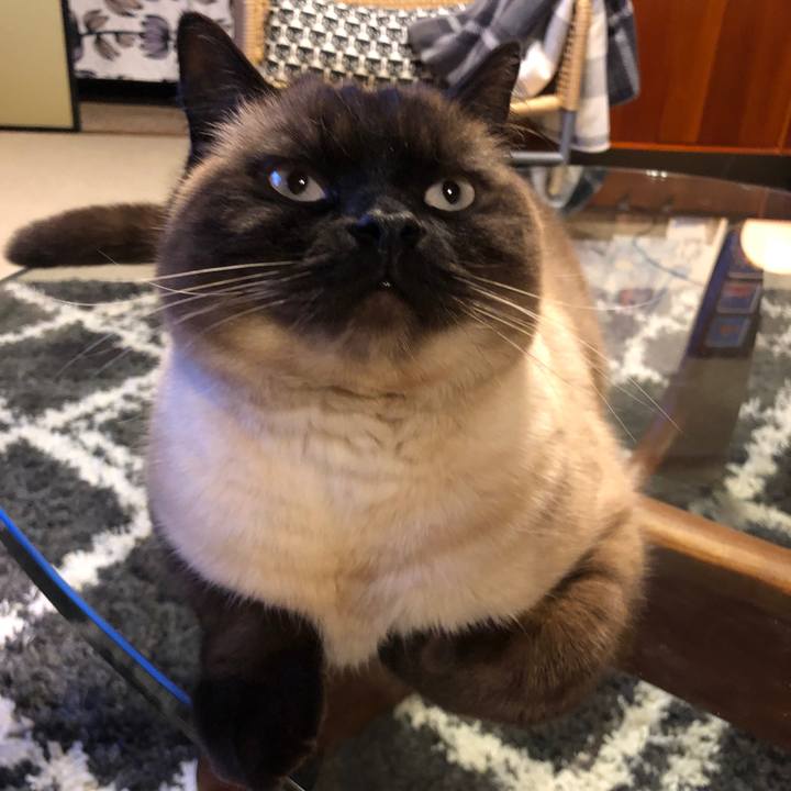 74e3f000 159c 4c70 8458 bdcbbe01f6b8 1617795640898