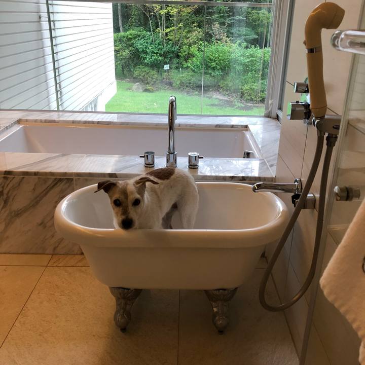 74e404f3 e5ee 48d3 a1b1 f81e2f0a4a4c 1537005918101