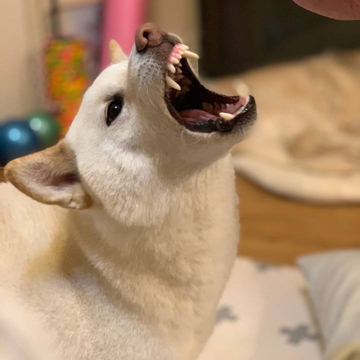 74e40d92 485c 476f b401 420bb97e7af2 1554377497345