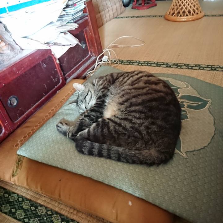 74e43cee be52 457f 9060 1ae4d3296faf 1655594064185