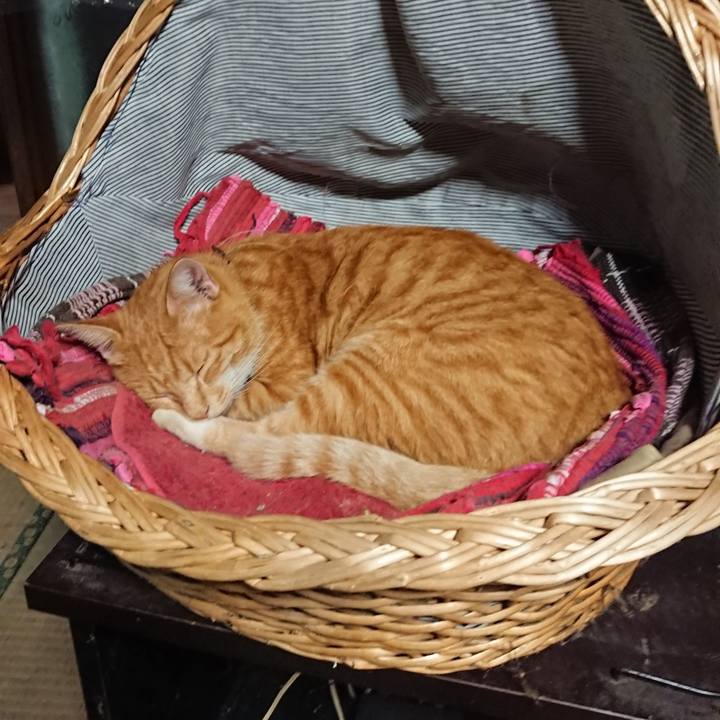 74e47088 c860 479f b28b 280de9fec45f 1567994722431