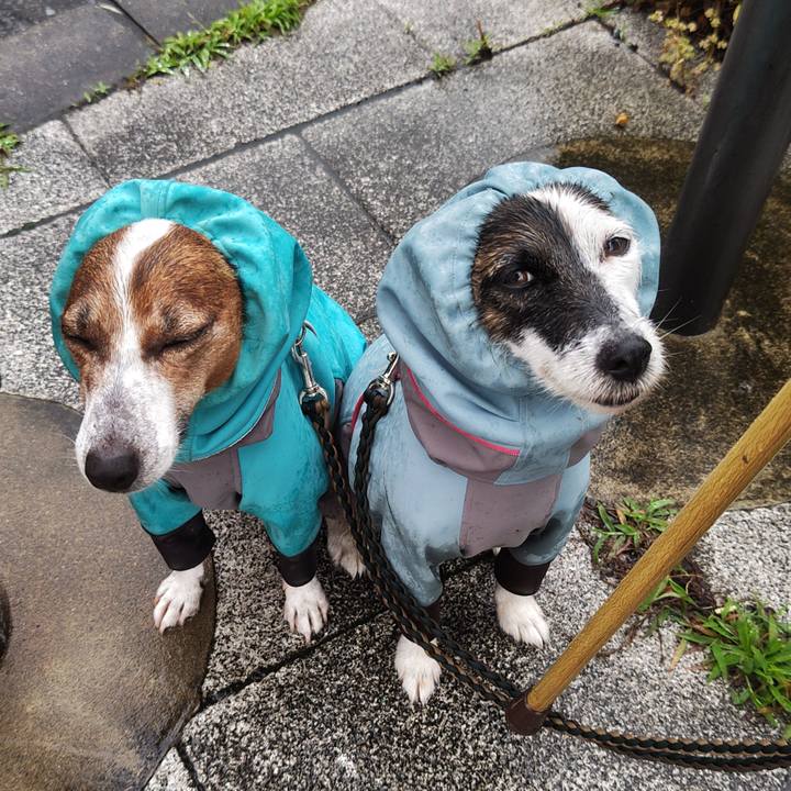 74e47187 d5ba 452e 8cdc df175324f0b7 1749595065262