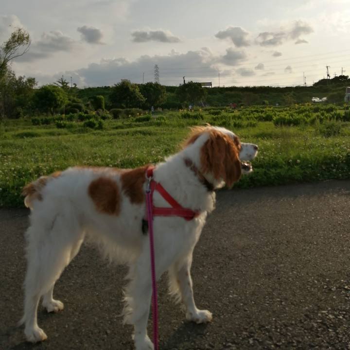 74e48d96 3fcf 47c3 bd46 c4519f416061 1593337252103