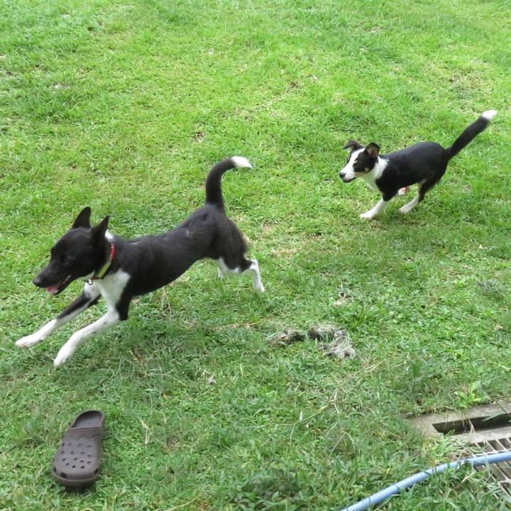 74e49d8d d509 4a2b b328 91bc1aa79693 1563709535631