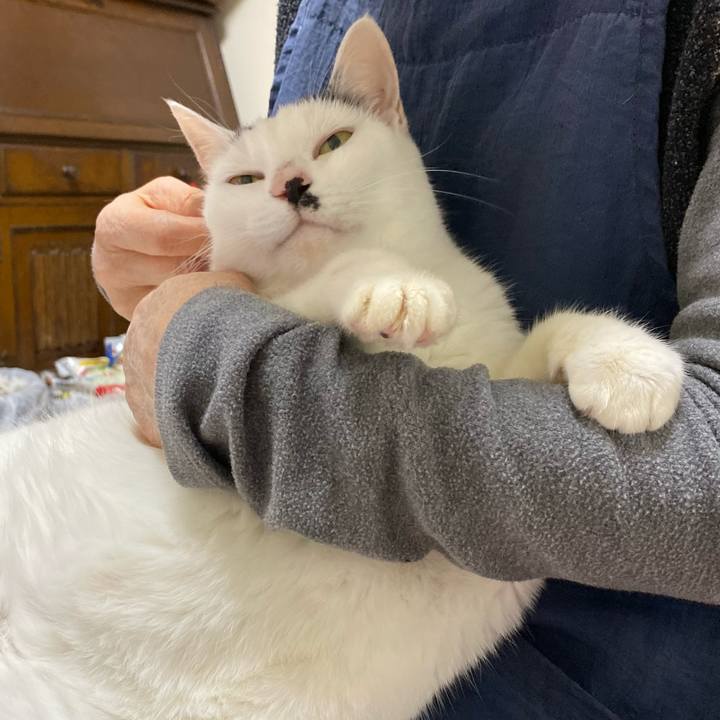 74e4b045 153e 4eac b065 030e8a729287 1575029093373