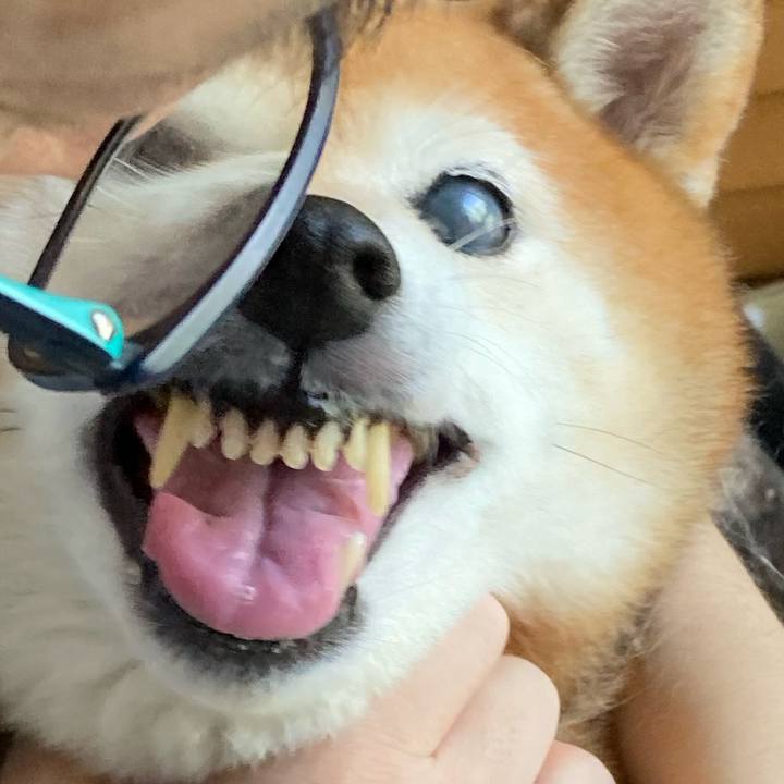 74e4ef0c 739a 4ae8 95ba 3a197833b67d 1692836686874