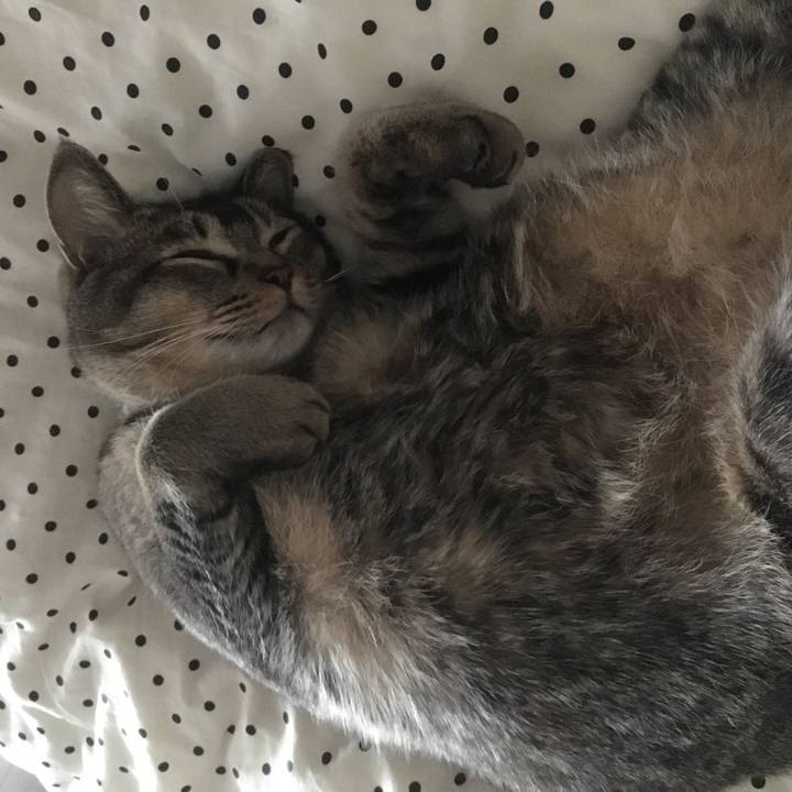 74e57bbc cca7 4028 a5ca d4181c61d8b5 1525674861464