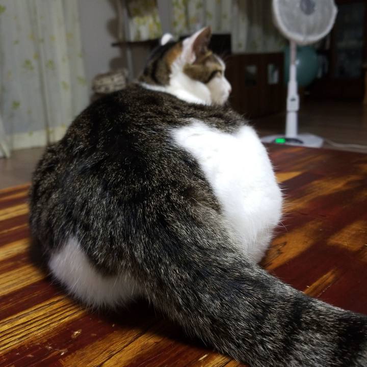 74e58a2e 841a 4ee6 ab80 555ba7a97506 1560857907417