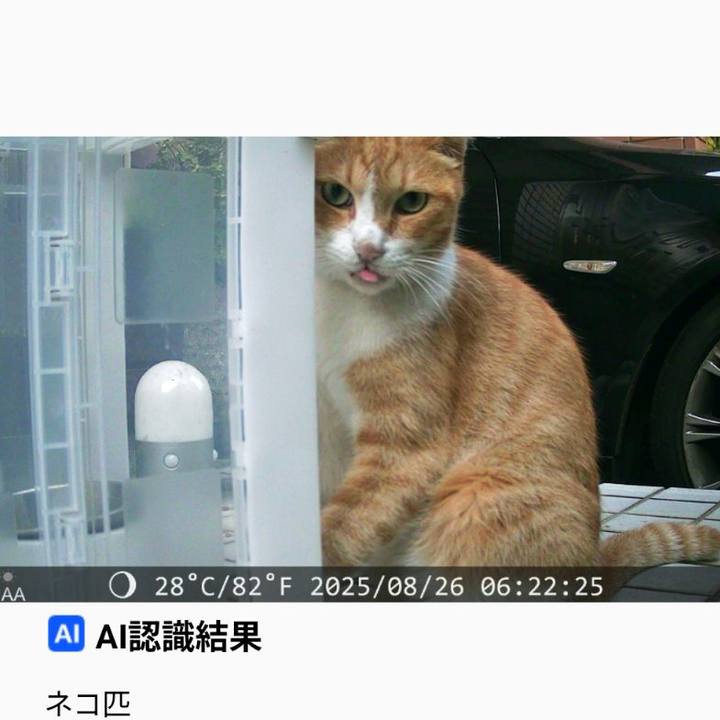 74e65085 f078 4caf 9e3c fc4fc1ad55e4 1756305720729