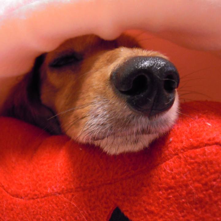 74e65768 0660 4b33 9ce8 469a84ccb7e1 1605029732471