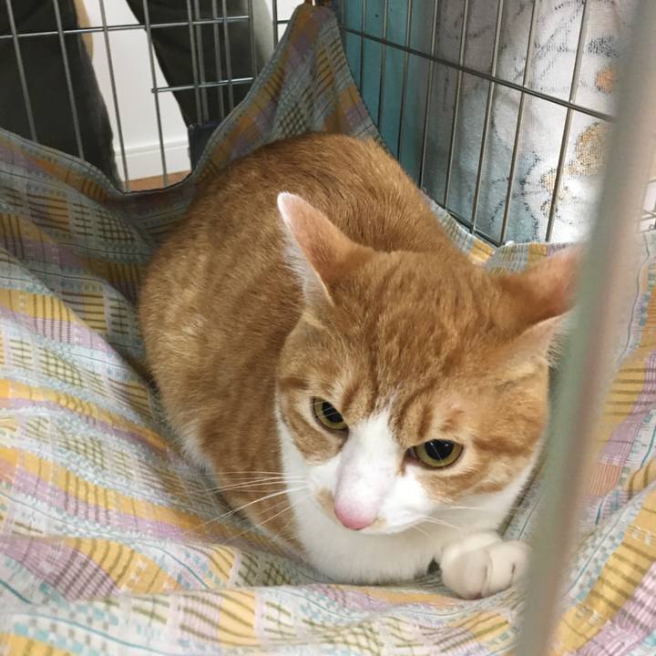 74e66ad1 eb87 4e98 be3e 01f637478f9b 1511169342049