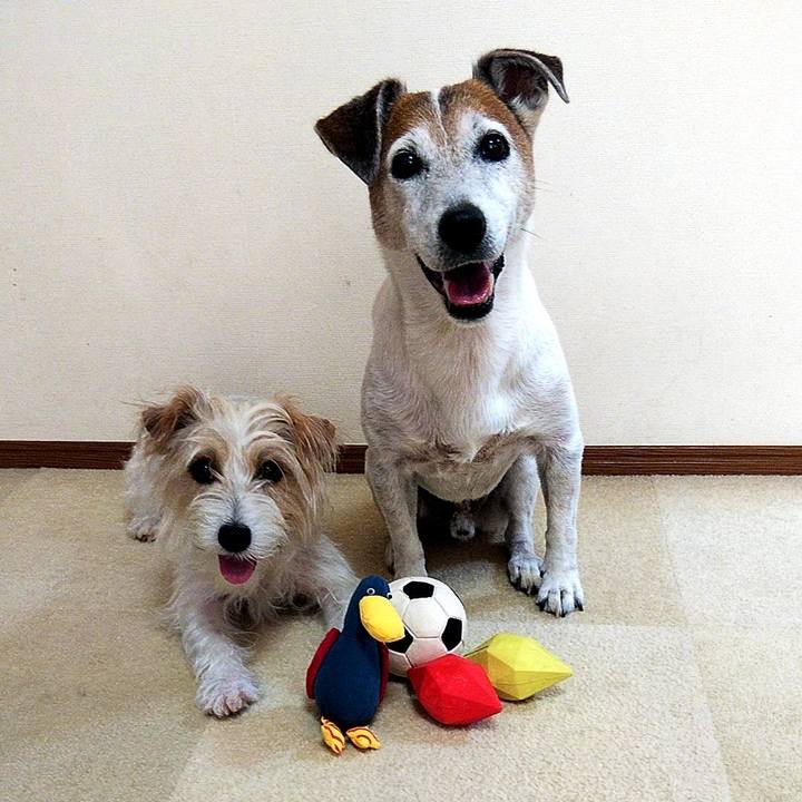 74e66ce8 ce4e 46bb 9ea3 9719f1e03edb 1564288925493