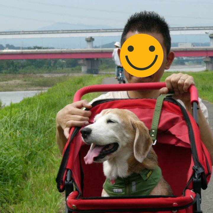 74e69768 e466 48f9 92bb c1bc3fd63df0 1668388163948