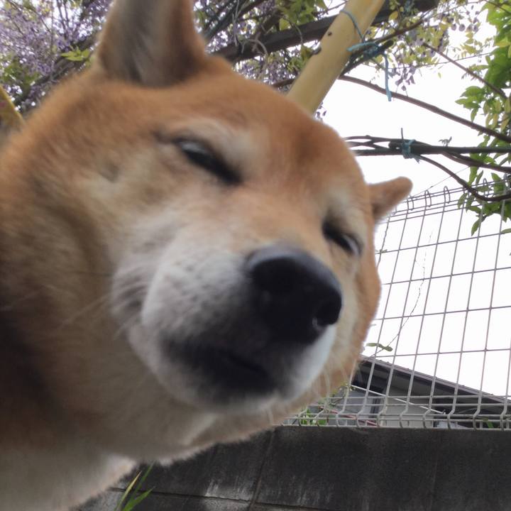 74e6c32c 72ed 455d b18b 44833b3d50da 1556175145031