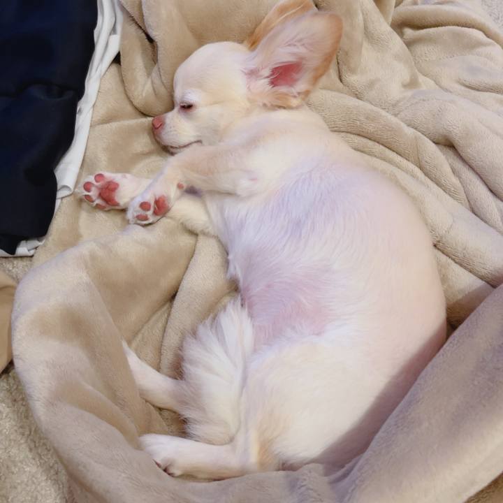 74e6c93b fde3 48fd ac87 45e4540282dd 1756556489904