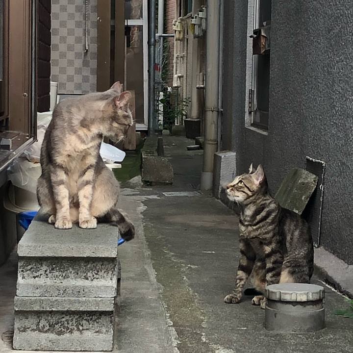 74e6d01b d192 458a 84dc f1746af90dbc 1534091490144