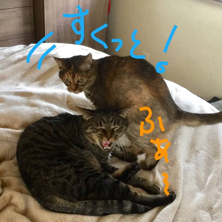 74e71882 b282 4832 ace0 dd03840c665a 1557833212644