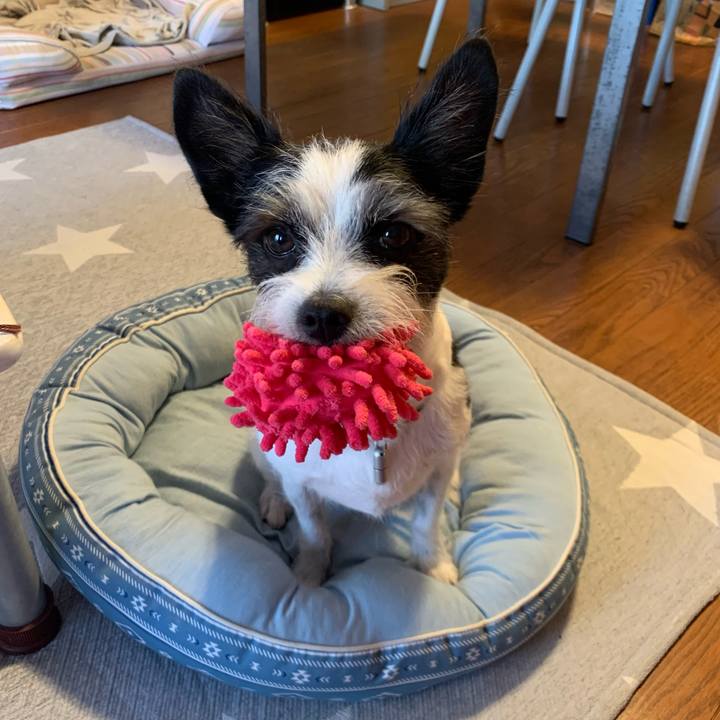 74e73160 fadd 446e 8262 0734c1ca1aa7 1632477951099