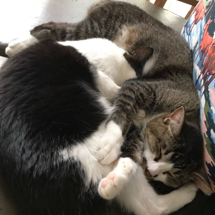 74e7686c 4da2 4d2a 9cc0 e64d43aad40f 1527997857470