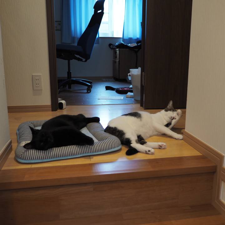 74e7b715 a8a7 404b 8992 a59d61568ff7 1536018986839