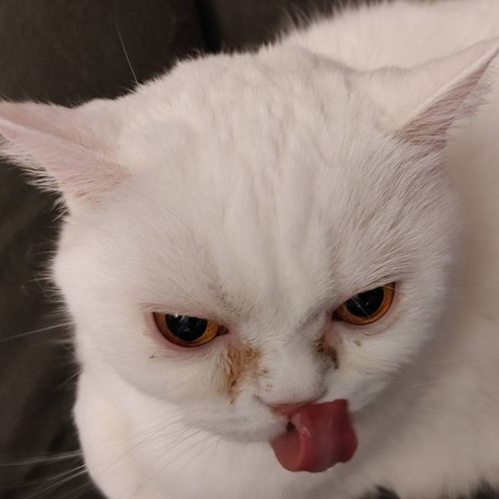 74e7ce8e 7d66 48f6 9872 79f68b44baea 1613787602175