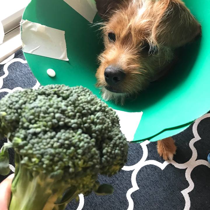 74e7ded0 2250 44ba 9005 08e0f699ce8b 1526612815575