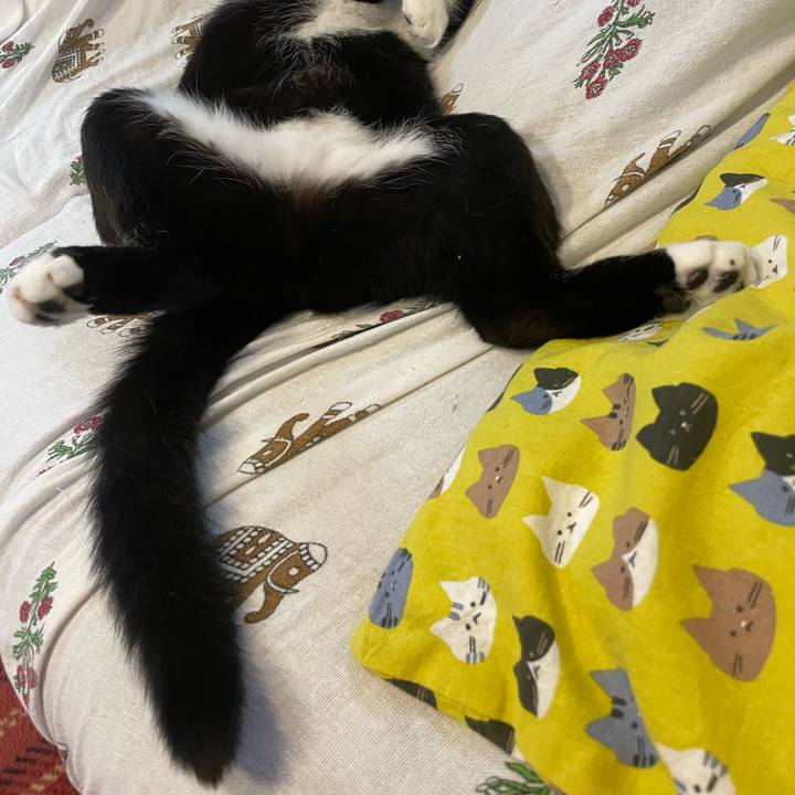 74e8157b 1d65 48d3 b249 a9b00e4ac00c 1673843610364