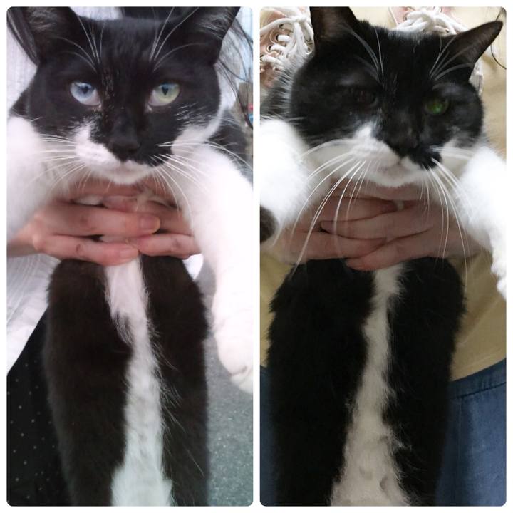 74e84844 b75b 4682 b77a efe5ece1c777 1534220487329